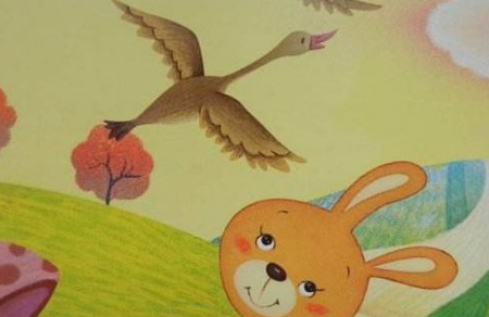 小兔子救小鸭子的故事