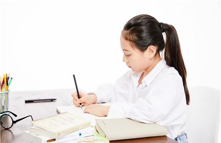 生活需要宽容800字作文