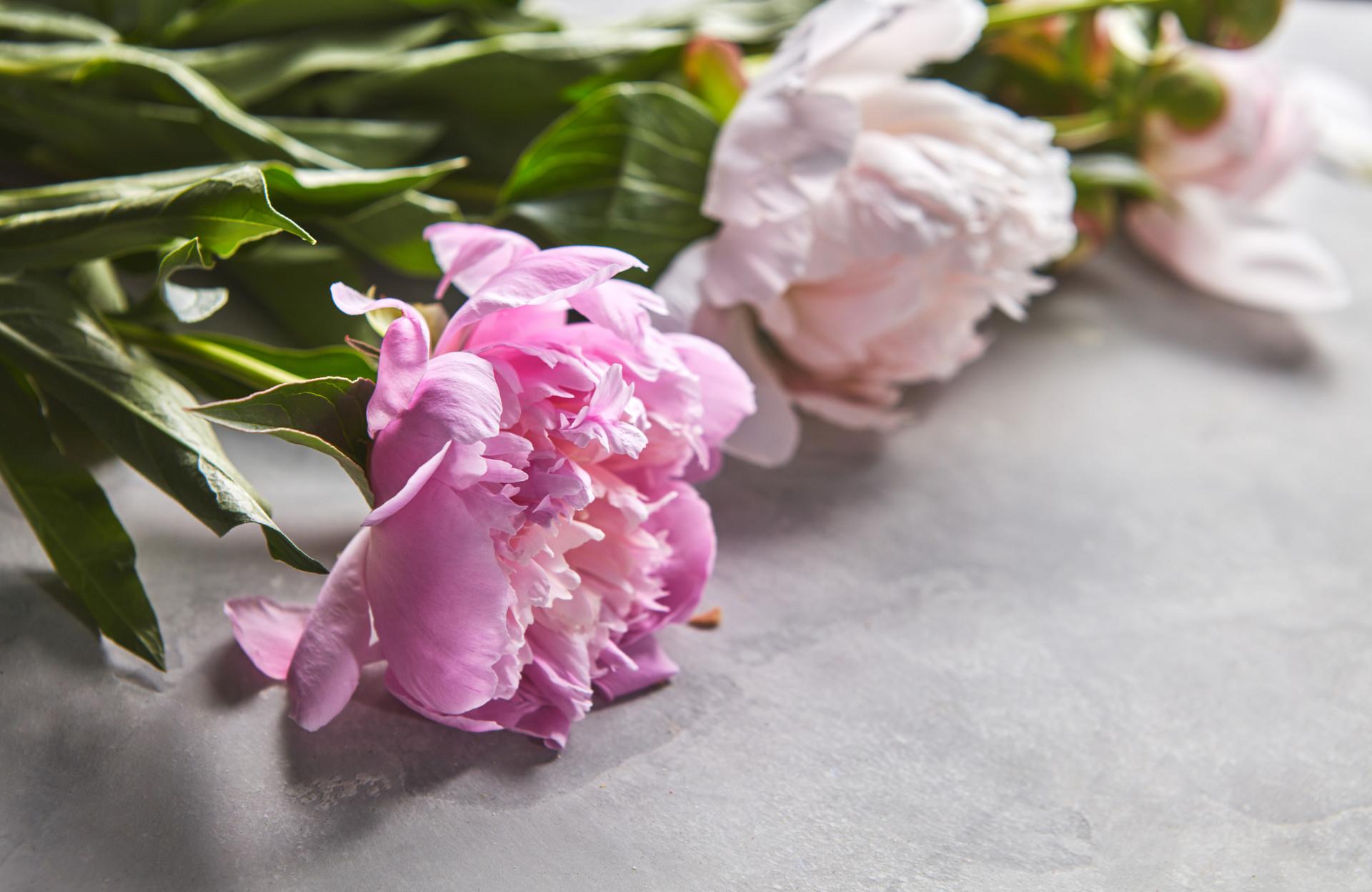 满庭芳花满金盆翻译