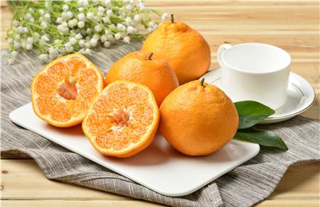 小孩过敏能吃橙子吗