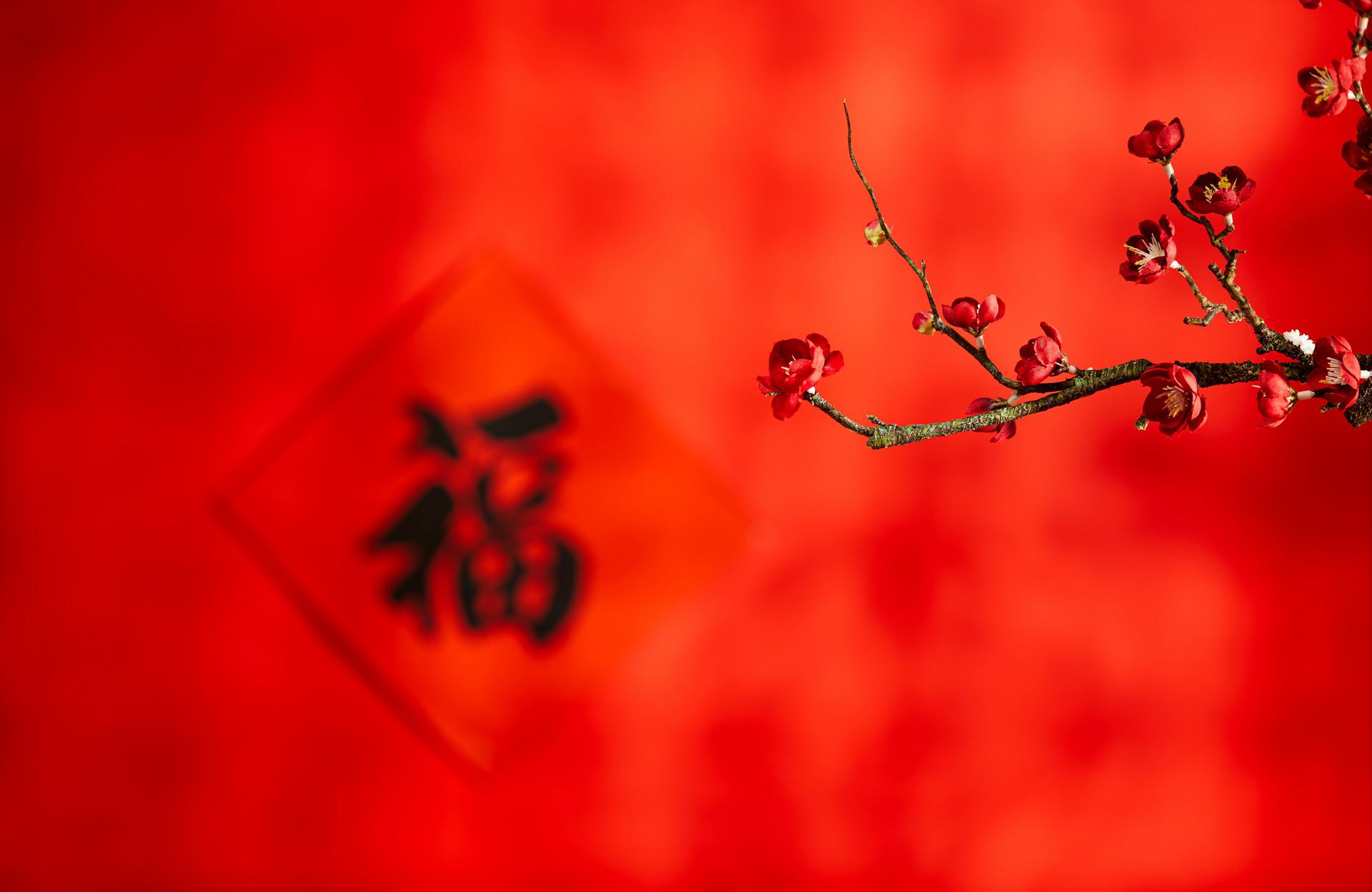 观梅有感刘因赏析