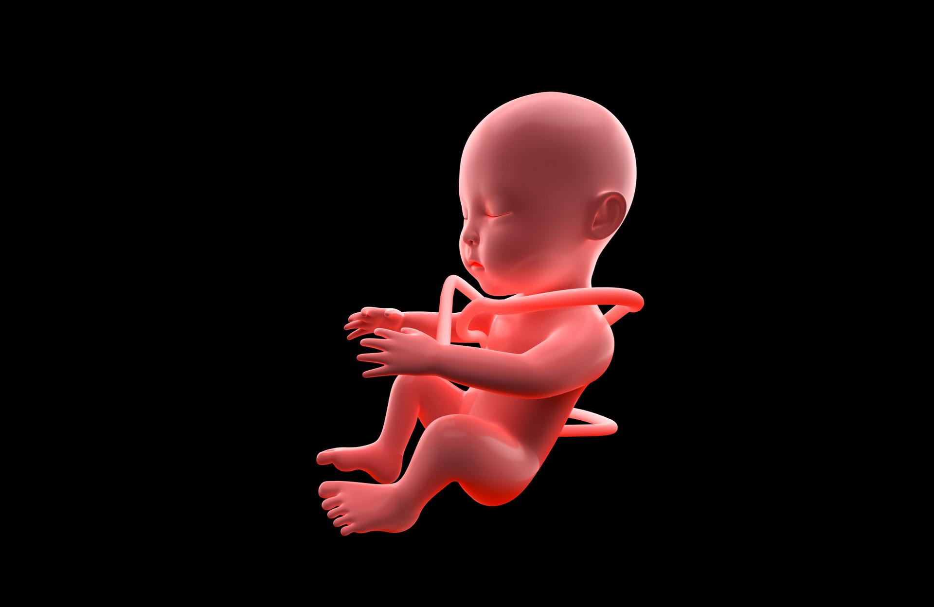 胎儿智商高的3个迹象 高智商的宝宝在孕期会有3种表现