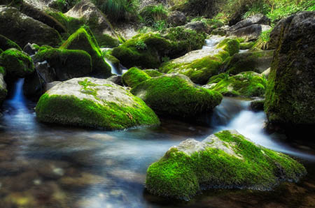 宝宝吃红毛丹有什么好处3 宝宝吃红毛丹有什么好处3